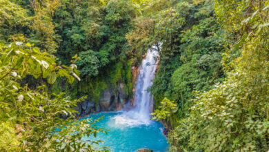 Tips for Visiting the Rio Celeste Waterfall in Costa Rica