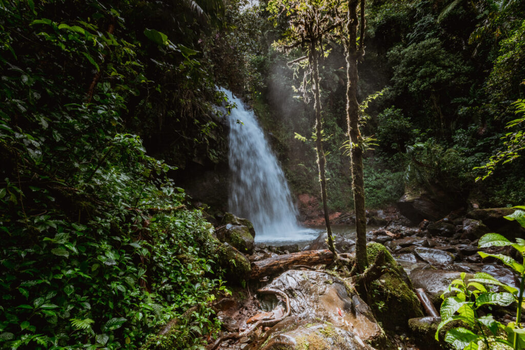 Lost Waterfall near Boquete Panama, best things to do in Panama