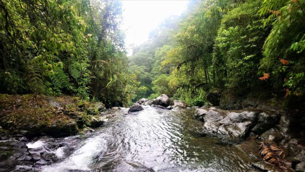 River and rainforest in Darien Gap in Panama
