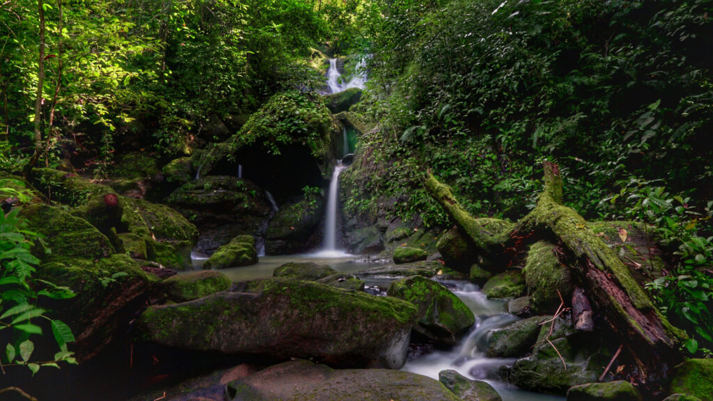 Waterfall and stream in Soberania Parque Nacional in Panama